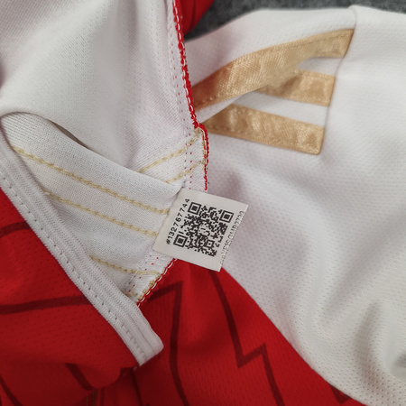 Koszulka sportowa Adidas Arsenal FC 23/24