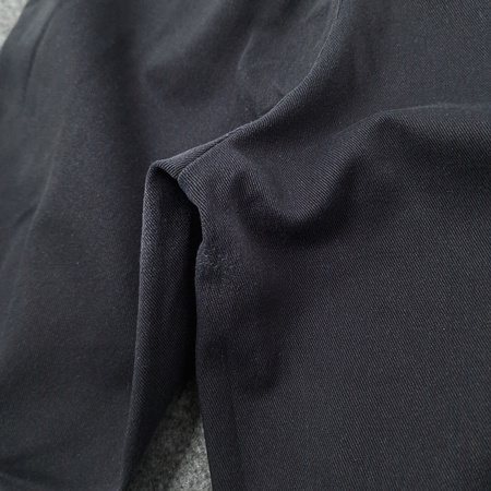 Spodnie Dickies 874 Flex