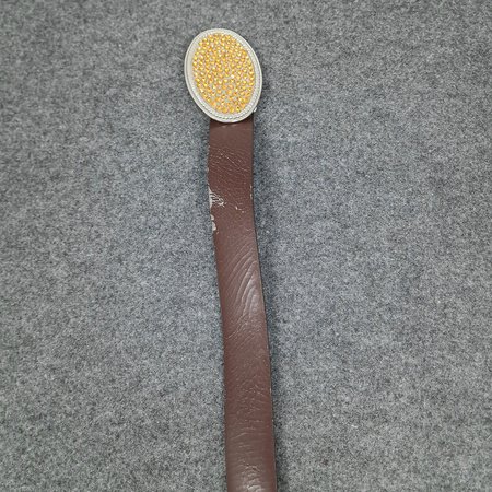 Pasek z kryształkami