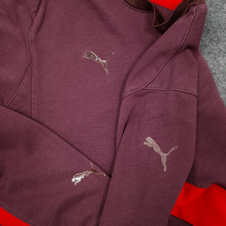 Bluza bez kaptura Stuttgart FC Puma