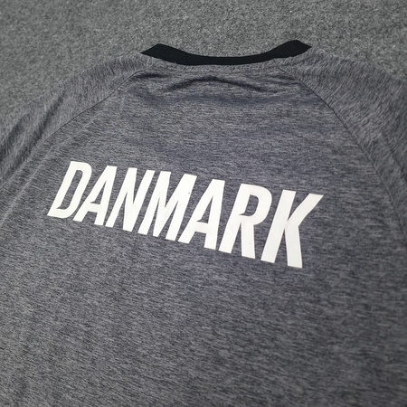 Koszulka sportowa Hummel Dania treningowa 16/18