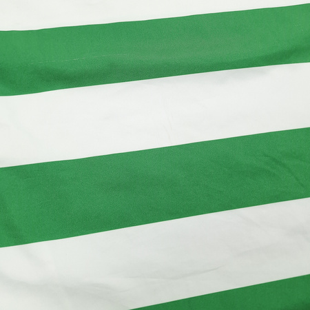 Koszulka piłkarska Celtic FC 2009–10 Home Nike