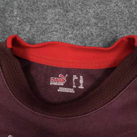 Bluza bez kaptura Stuttgart FC Puma