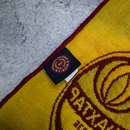 Szalik AS Roma - Shakhtar