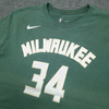 Koszulka NBA Nike Giannis Antetokounmpo Milwaukee Bucks