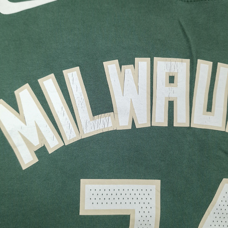 Koszulka NBA Nike Giannis Antetokounmpo Milwaukee Bucks