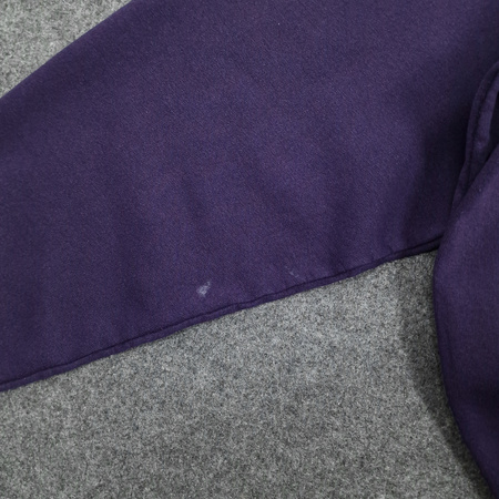 Bluza bez kaptura Champion Washington Football