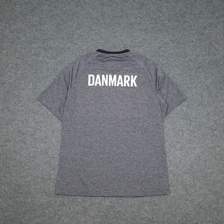 Koszulka sportowa Hummel Dania treningowa 16/18
