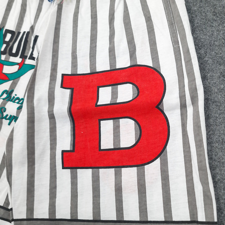 Spodenki NBA Chicago Bulls