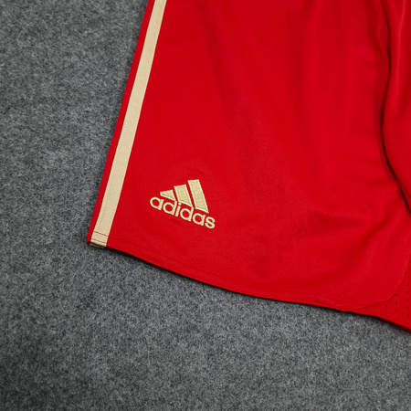 Spodenki Adidas Niemcy