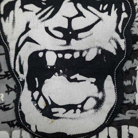 Bluza z kapturem Zoo York